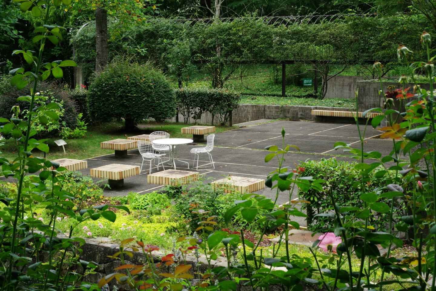 Weiße Gartenmöbel stehen auf einer Terrasse inmitten grüner Pflanzen.